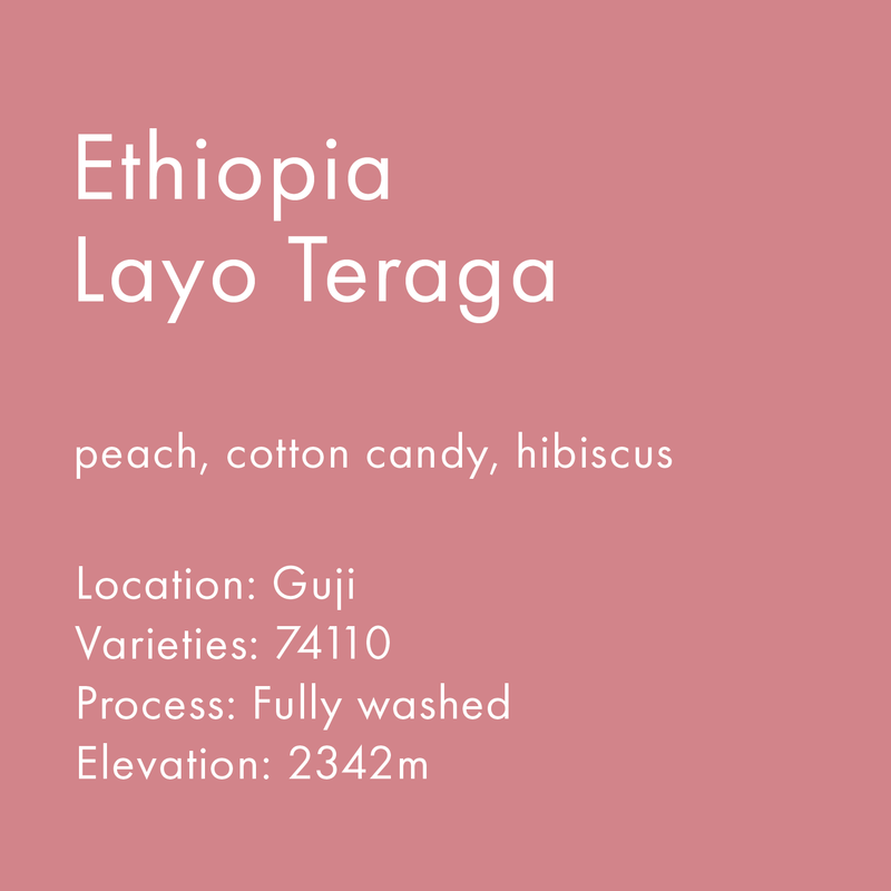 Ethiopia Layo Teraga