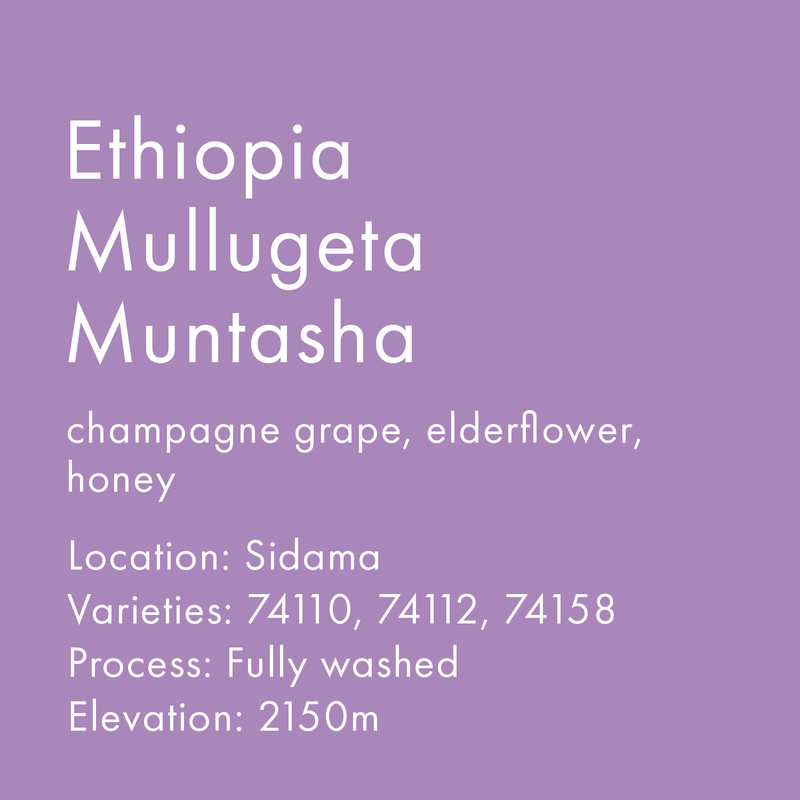 Ethiopia Mullugeta Muntasha