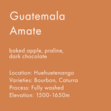 Guatemala Amate