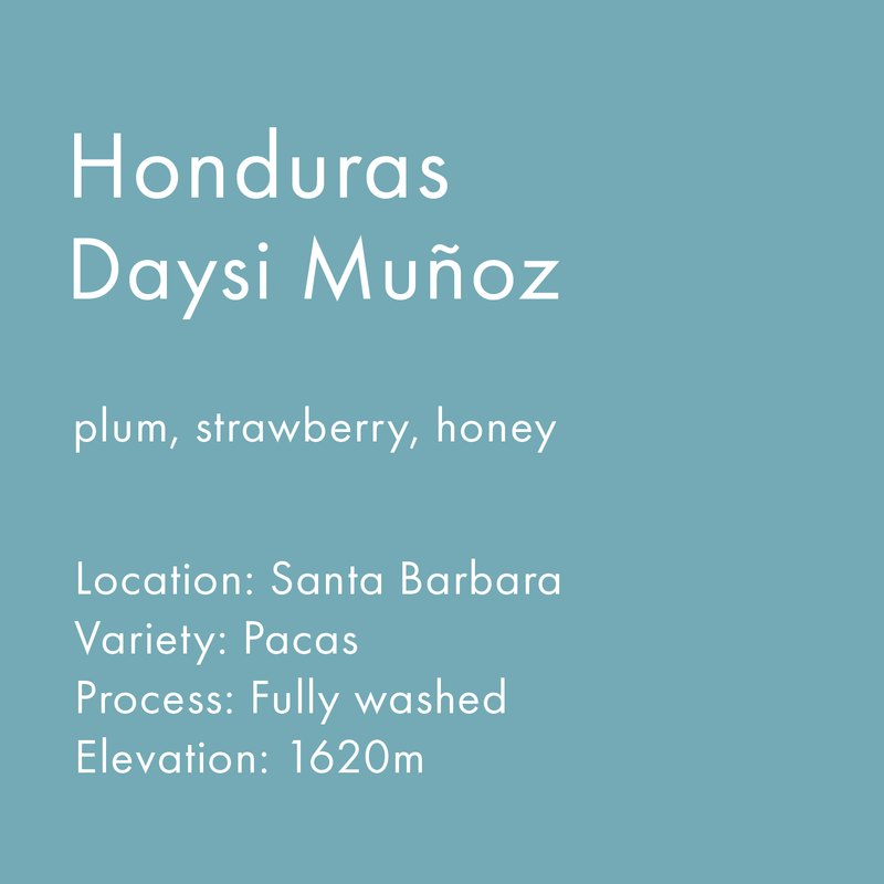 Honduras Daysi Muñoz