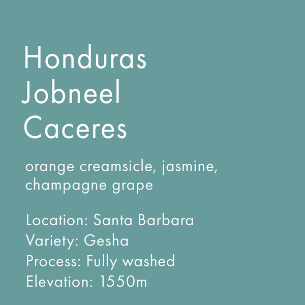 Honduras Jobneel Caceres (Gesha)