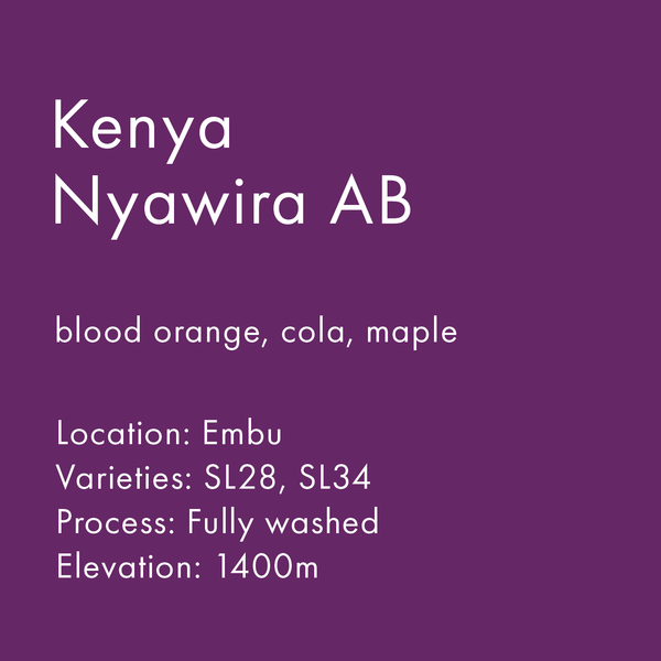 Kenya Nyawira AB