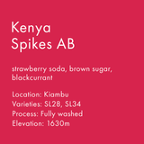 Kenya Spikes AB