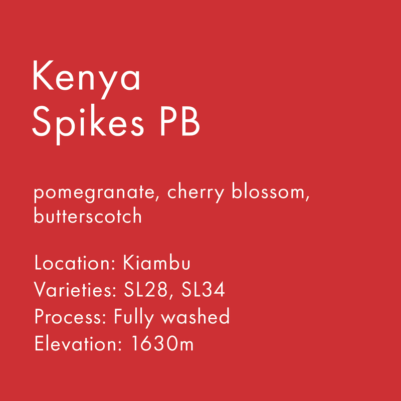 Kenya Spikes PB